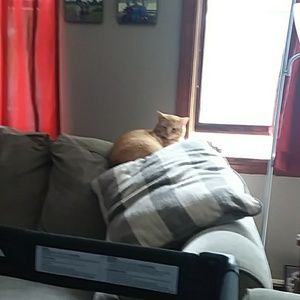 Meet your Posher, Jordan